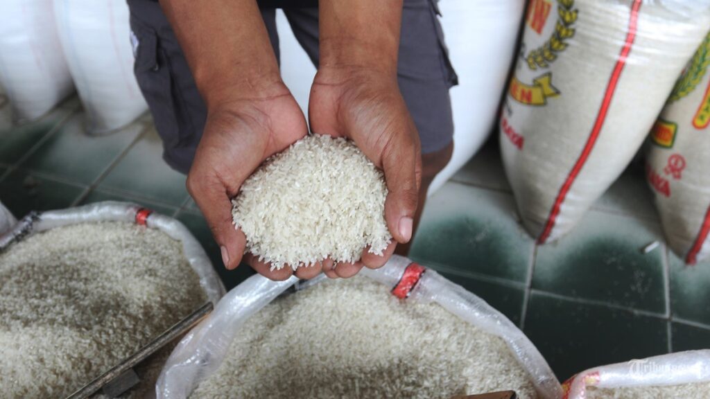 Awas! Ini 13 Merek Beras Oplosan Dijual Ke Masyarakat